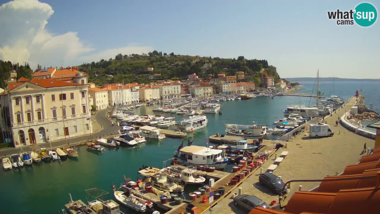 Webcam en direct de Piran “Mandrač” – Incroyable vue en direct de la Villa Piranesi