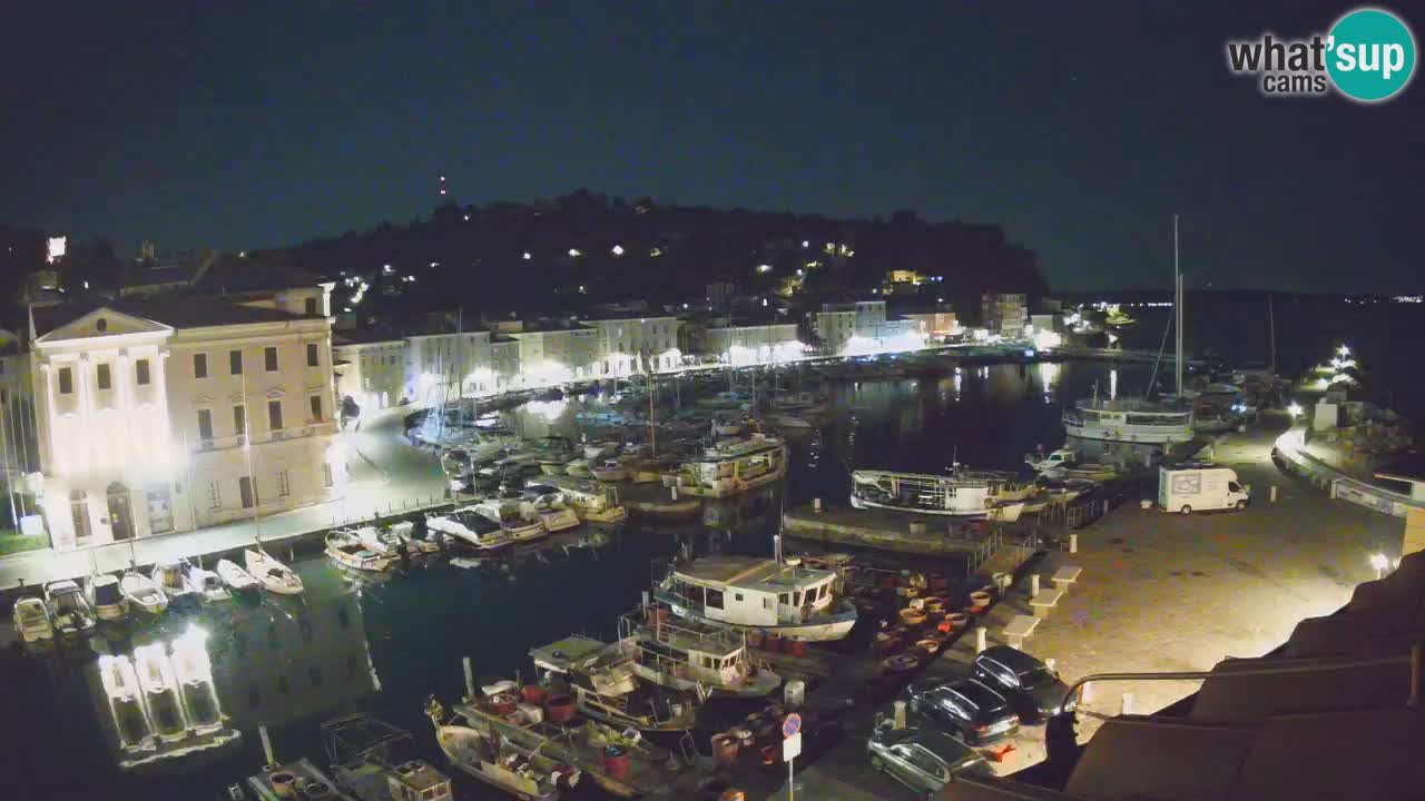 Iz Pirana Spletna kamera v živo “Mandrač” – Neverjeten pogled v živo iz Vile Piranesi