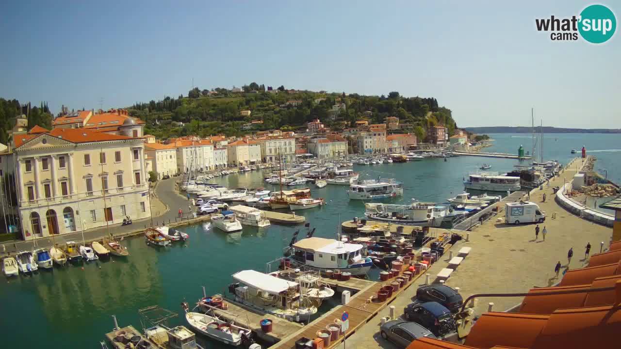 Live webcam da Pirano “Mandrač” – Splendida vista live da Villa Piranesi