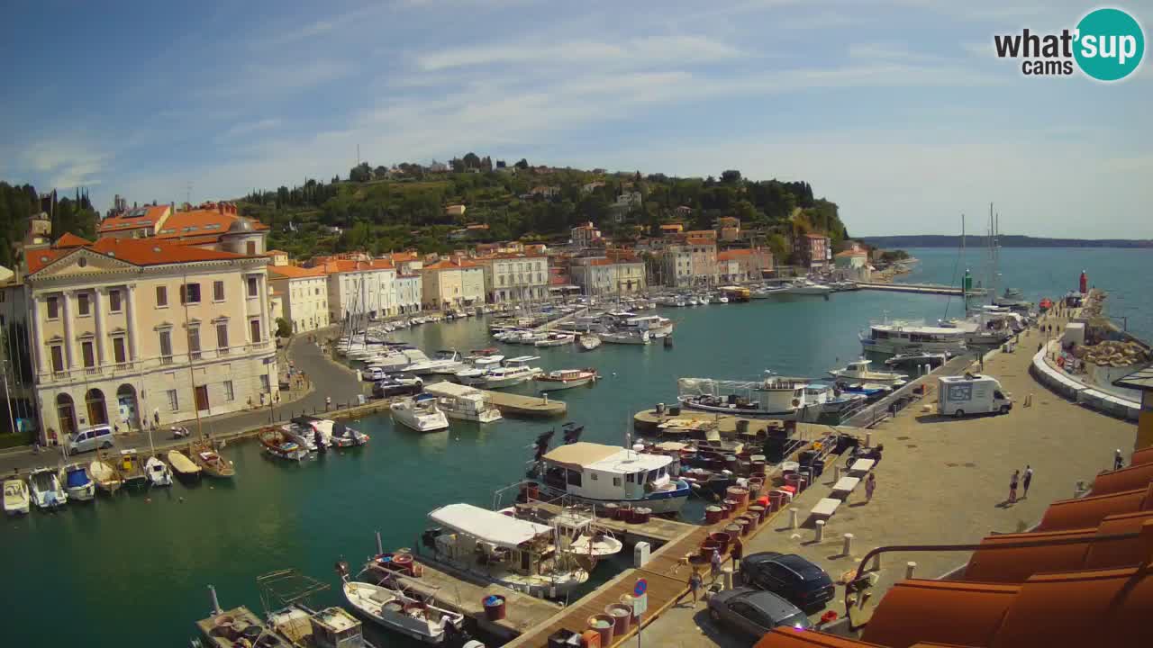 Web kamera uživo iz Pirana “Mandrač” – Nevjerojatan pogled uživo iz Ville Piranesi