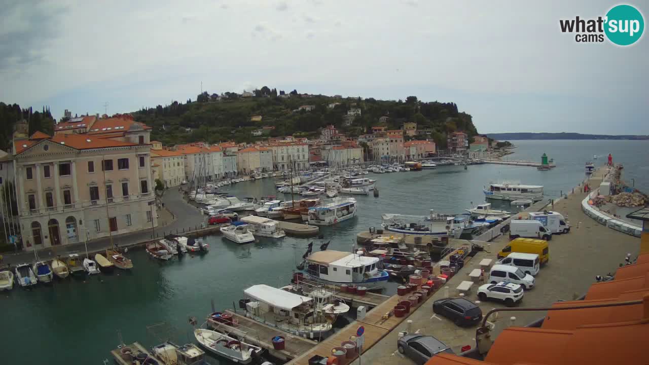 Live webcam from Piran “Mandrač” – Amazing live view from Villa Piranesi