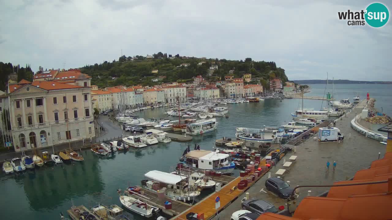 Web kamera uživo iz Pirana “Mandrač” – Nevjerojatan pogled uživo iz Ville Piranesi
