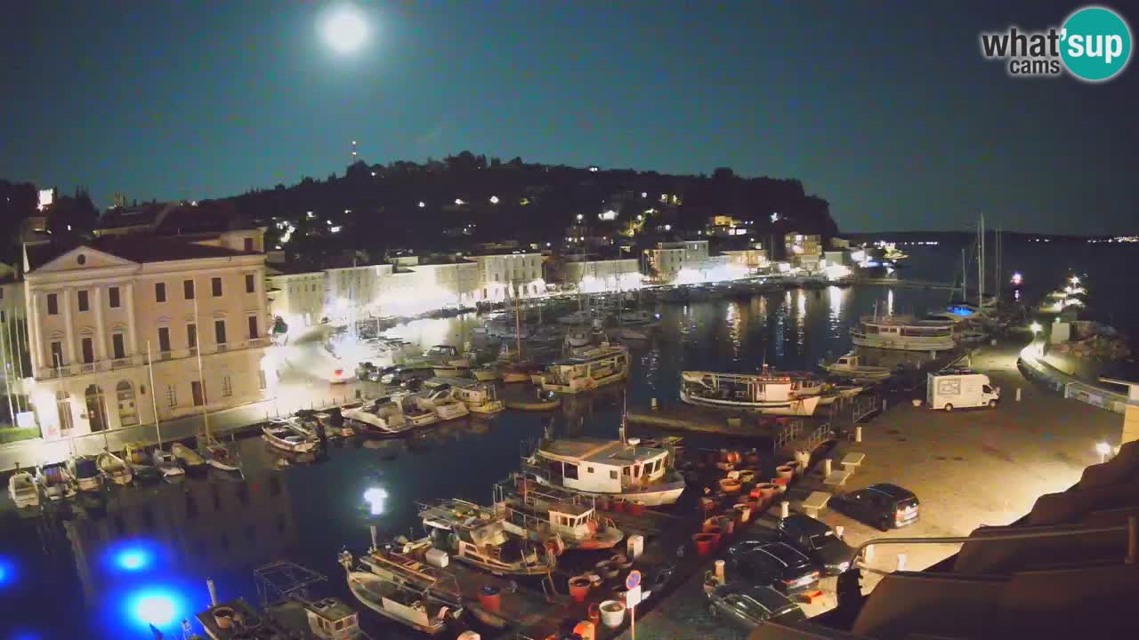 Iz Pirana Spletna kamera v živo “Mandrač” – Neverjeten pogled v živo iz Vile Piranesi