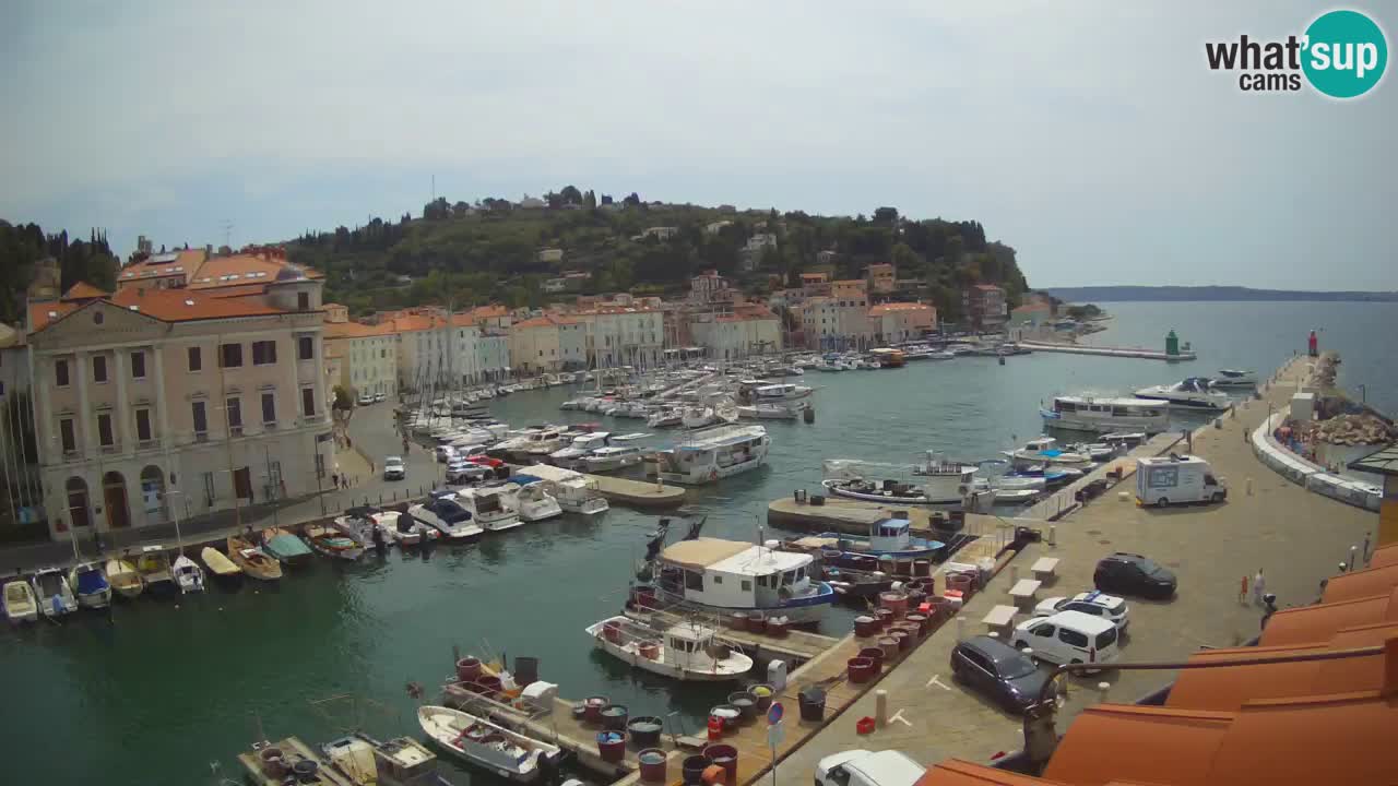 Live webcam from Piran “Mandrač” – Amazing live view from Villa Piranesi
