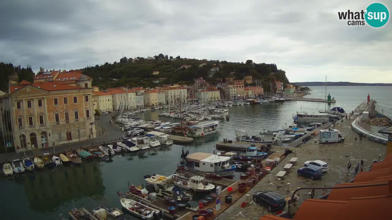 Live webcam da Pirano “Mandrač” – Splendida vista live da Villa Piranesi