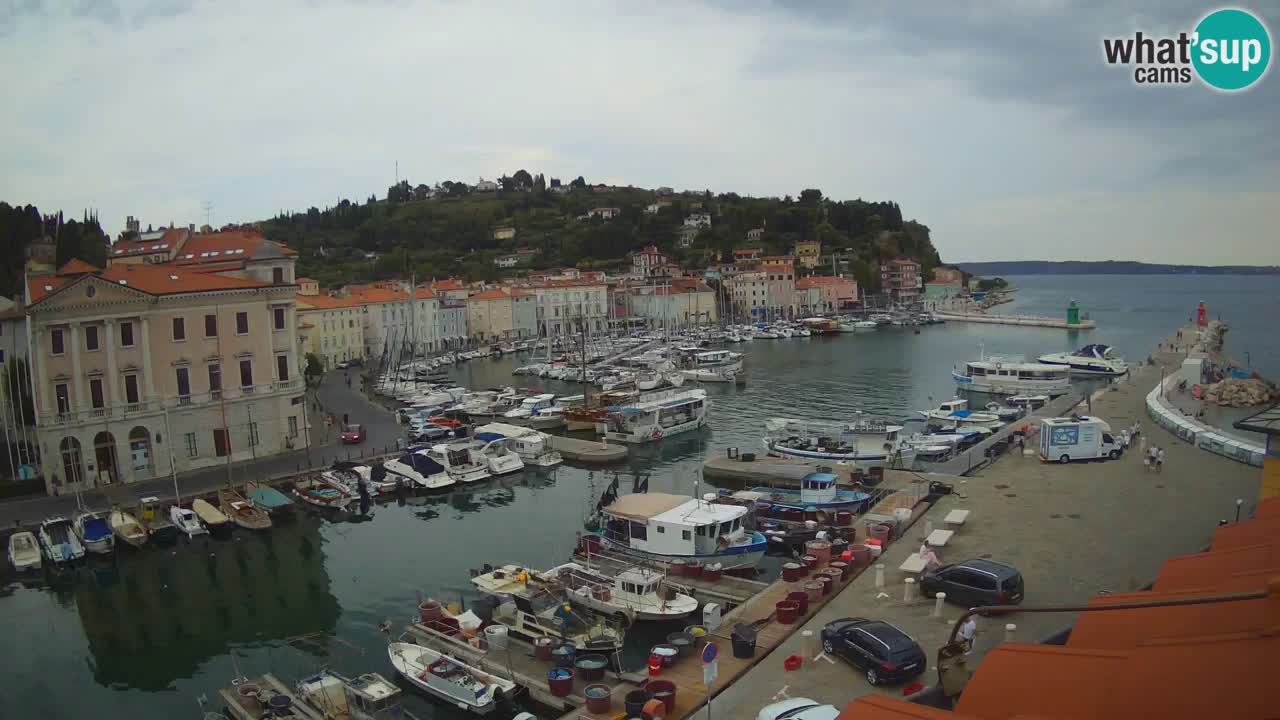 Web kamera uživo iz Pirana “Mandrač” – Nevjerojatan pogled uživo iz Ville Piranesi
