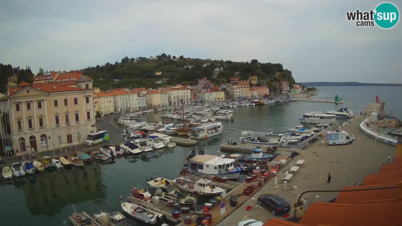 Live webcam from Piran “Mandrač” – Amazing live view from Villa Piranesi