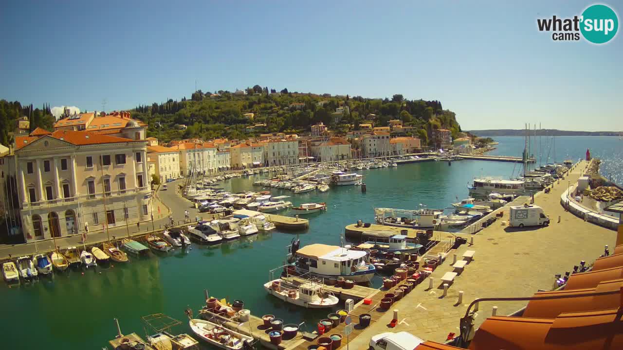 Live-Webcam aus Piran “Mandrač” – Erstaunliche Live-Ansicht von Villa Piranesi