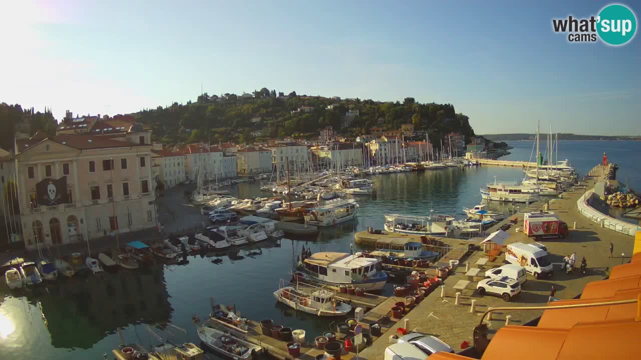 Iz Pirana Spletna kamera v živo “Mandrač” – Neverjeten pogled v živo iz Vile Piranesi