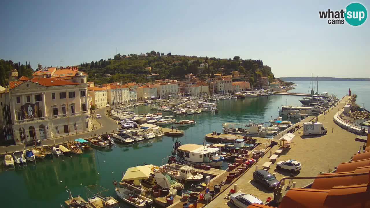 Live webcam from Piran “Mandrač” – Amazing live view from Villa Piranesi