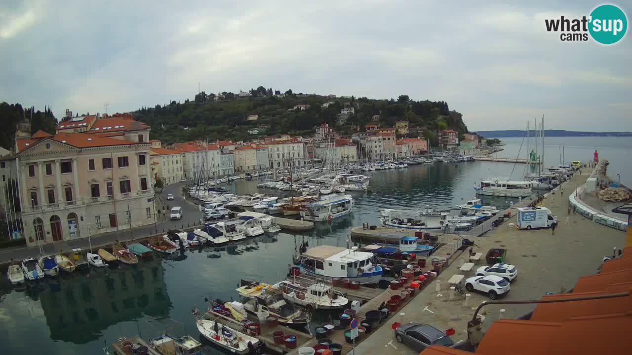Iz Pirana Spletna kamera v živo “Mandrač” – Neverjeten pogled v živo iz Vile Piranesi