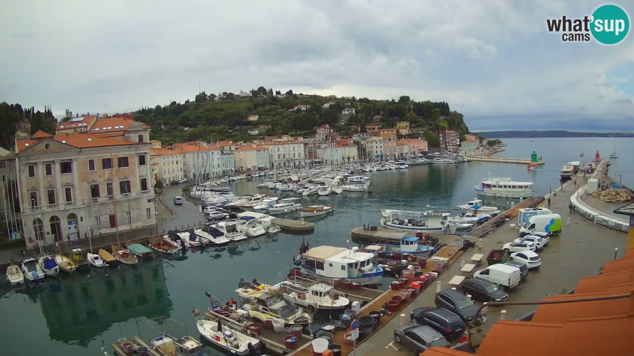 Webcam en direct de Piran “Mandrač” – Incroyable vue en direct de la Villa Piranesi
