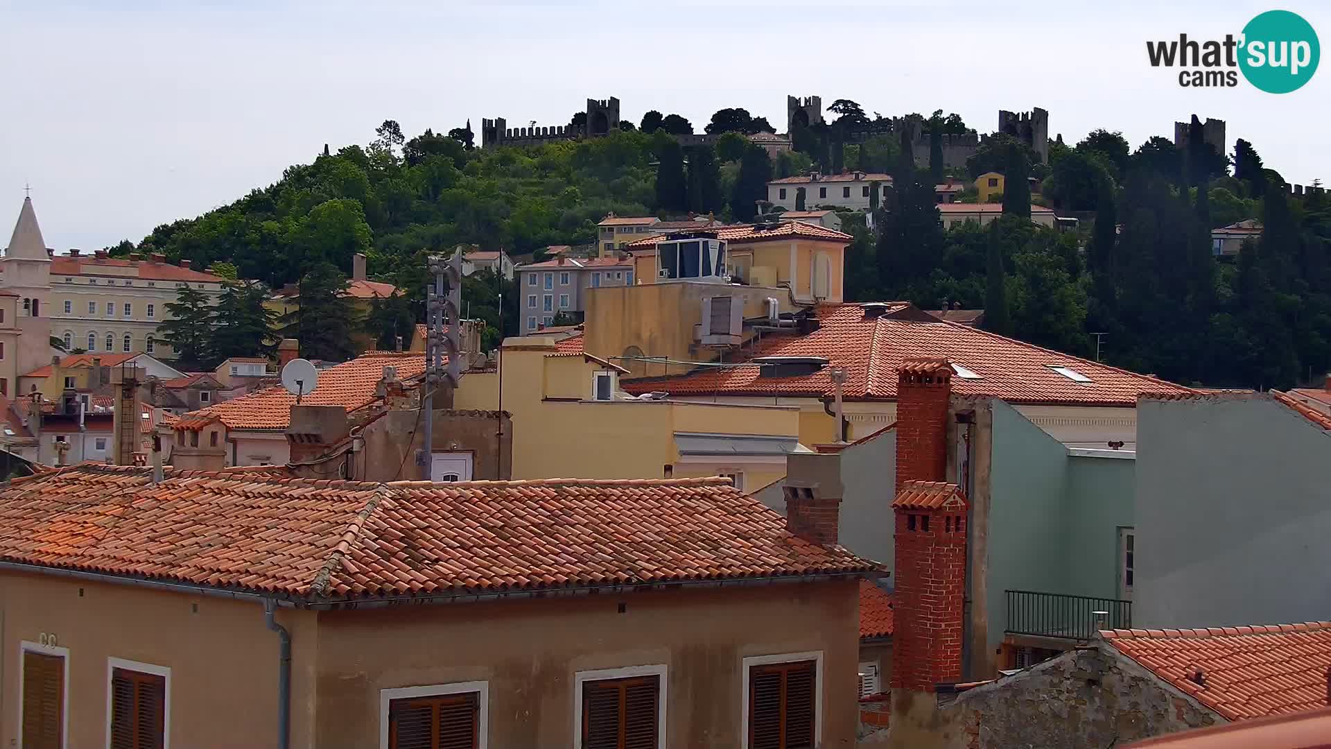 ﻿Pirano Webcam | Lungomare di Pirano | Hotel Piran