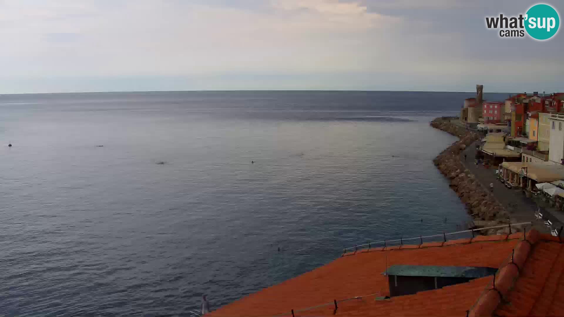 PIRAN Punta webcam | Seaside Promenade | Hotel Piran