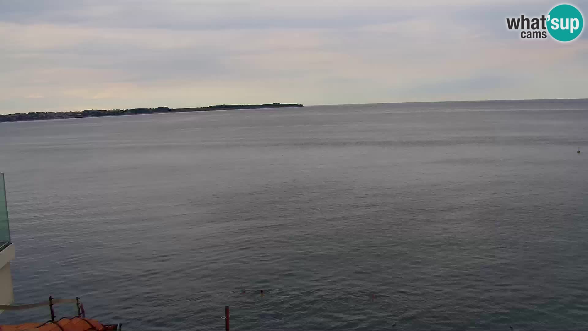 ﻿Pirano Webcam | Lungomare di Pirano | Hotel Piran