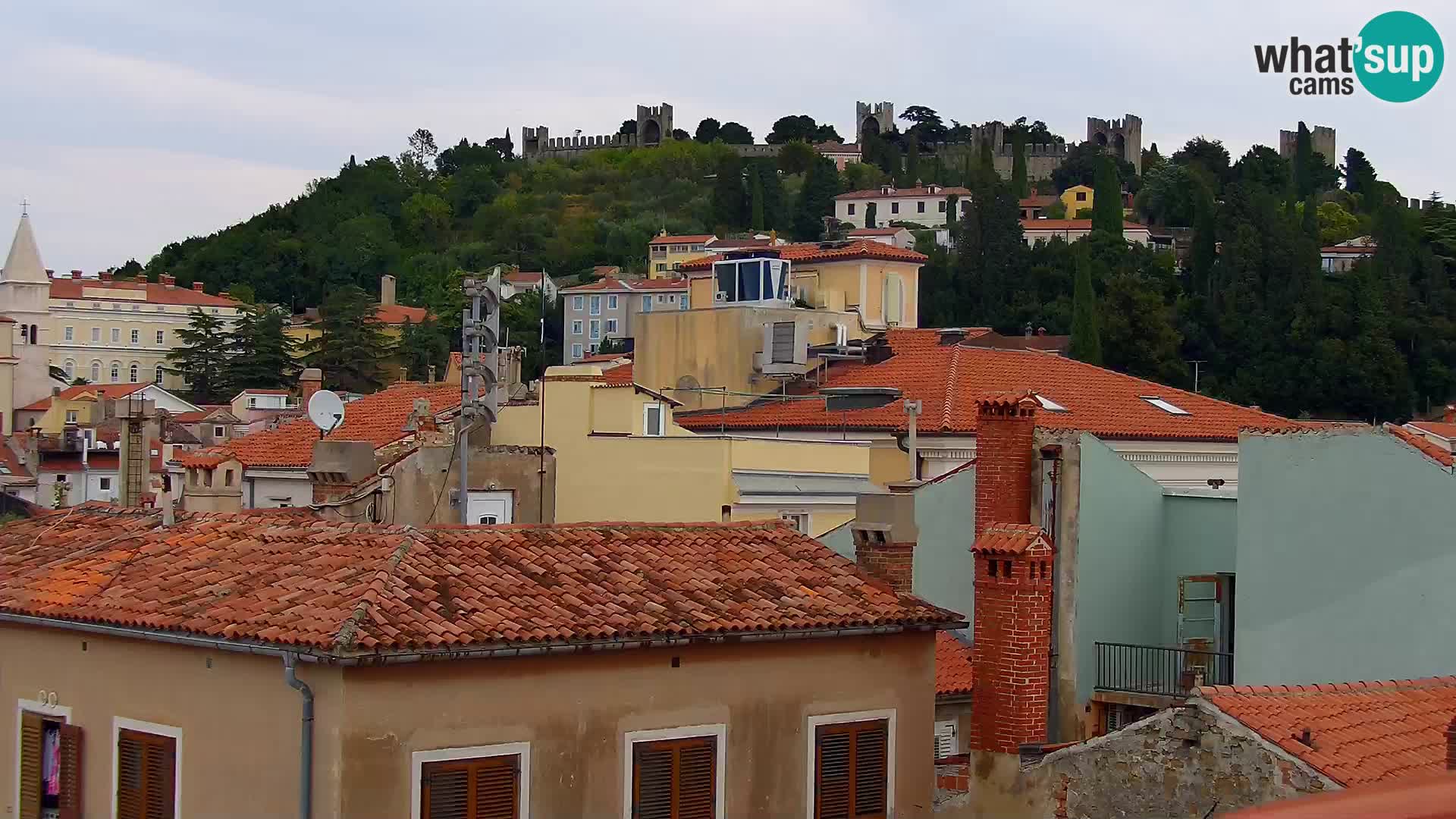 PIRAN Punta webcam | Seaside Promenade | Hotel Piran