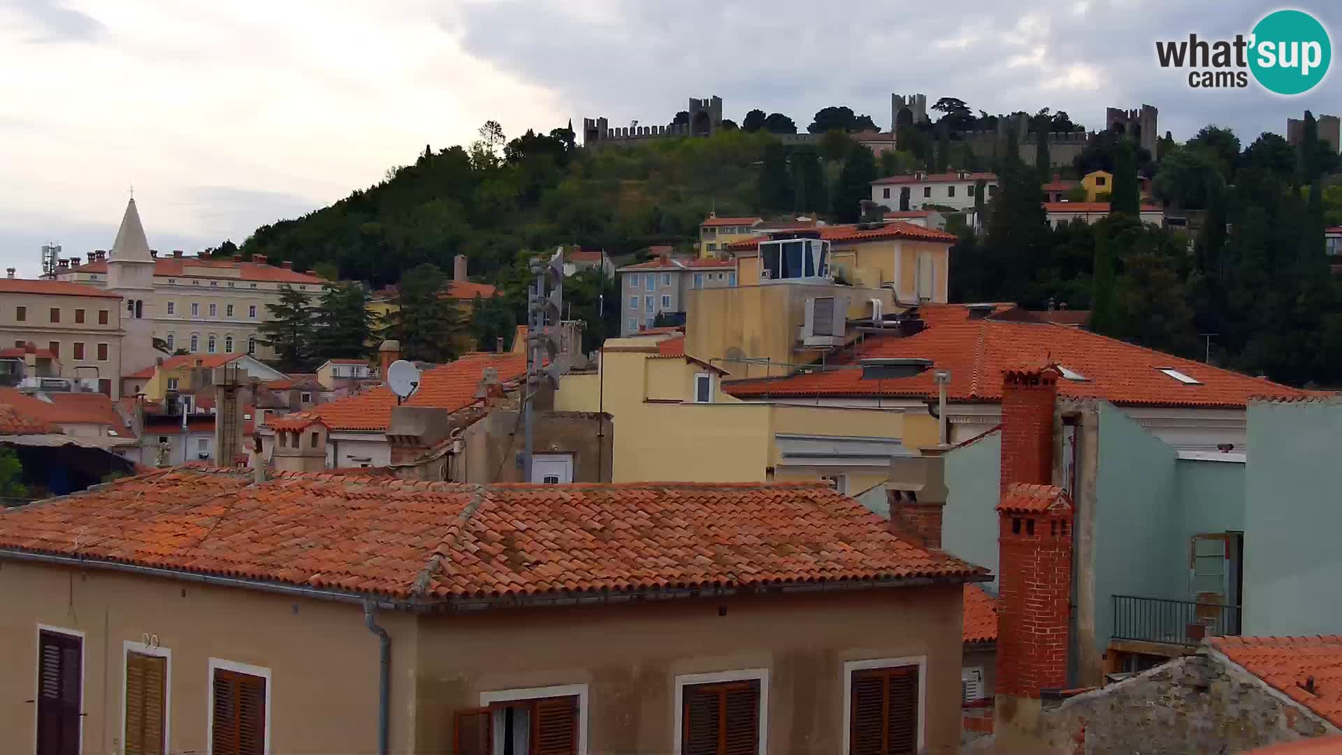 PIRAN Punta webcam | Seaside Promenade | Hotel Piran