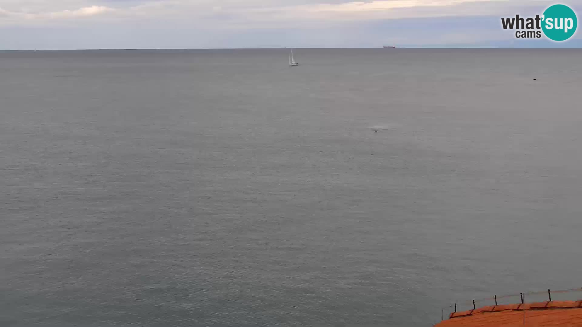 ﻿Pirano Webcam | Lungomare di Pirano | Hotel Piran