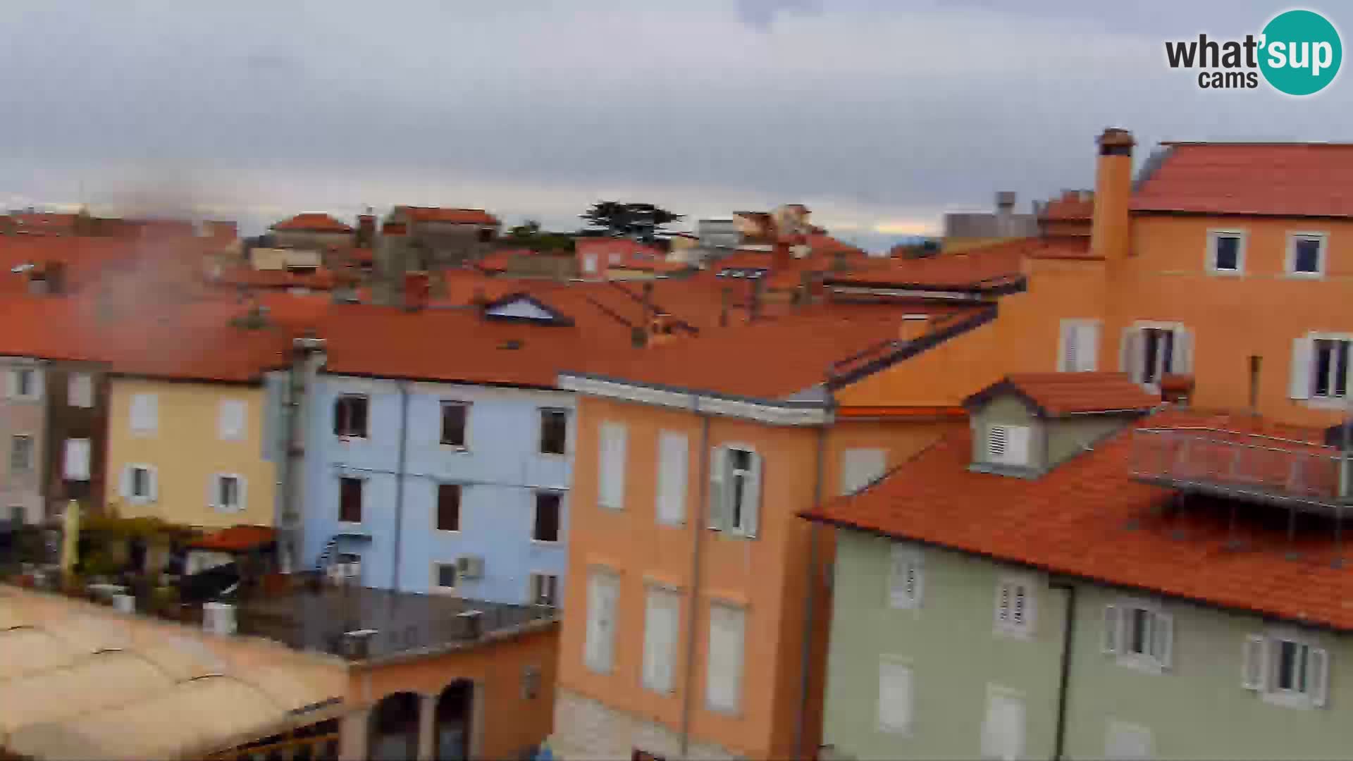 ﻿Pirano Webcam | Lungomare di Pirano | Hotel Piran