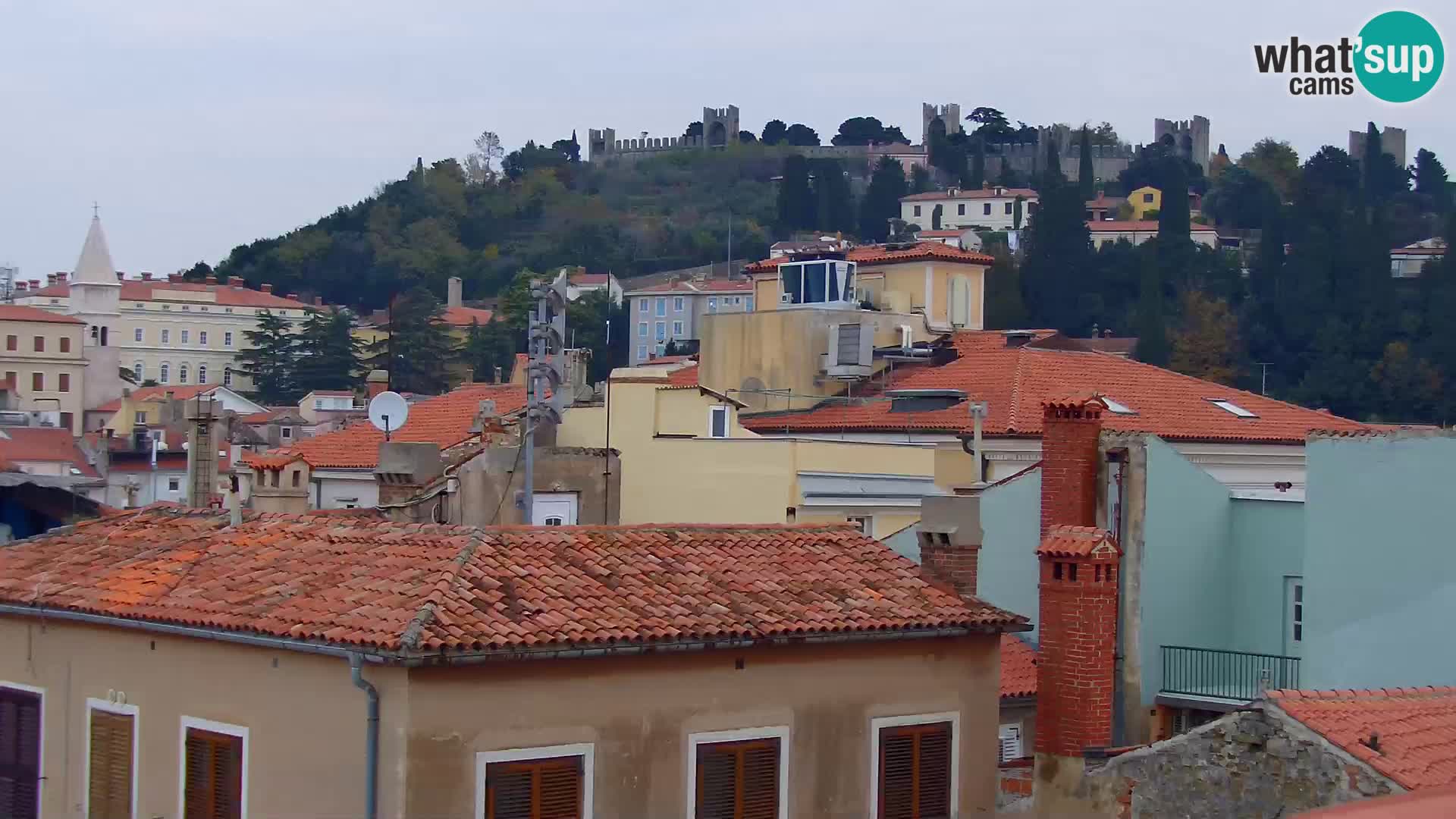 ﻿Pirano Webcam | Lungomare di Pirano | Hotel Piran