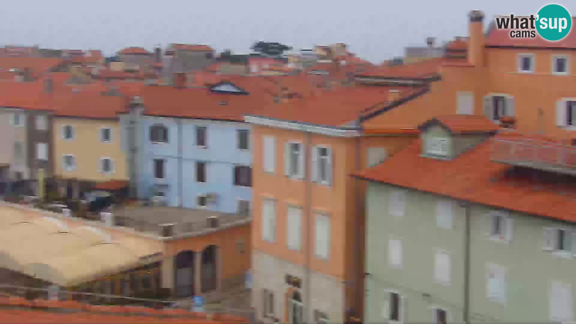 ﻿Pirano Webcam | Lungomare di Pirano | Hotel Piran