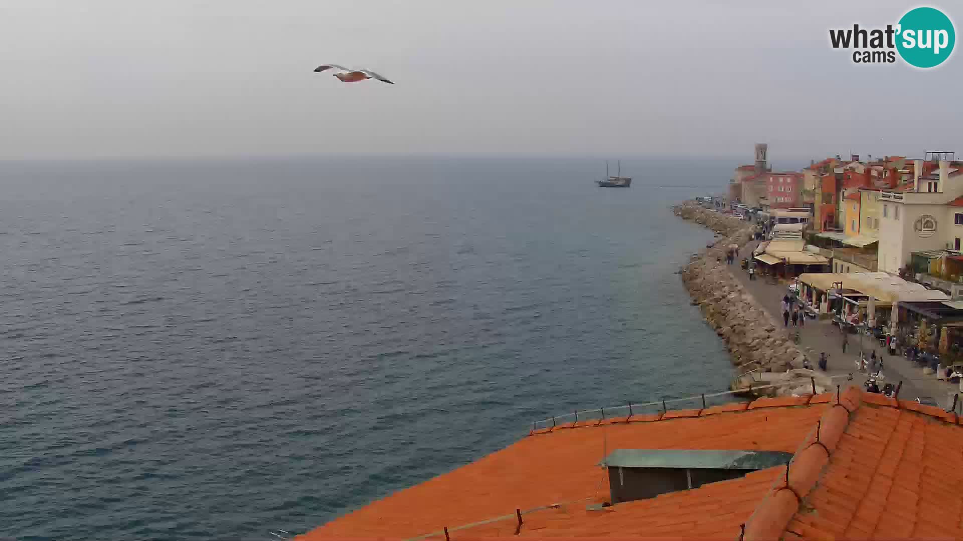 Piran Punta – Seaside Promenade