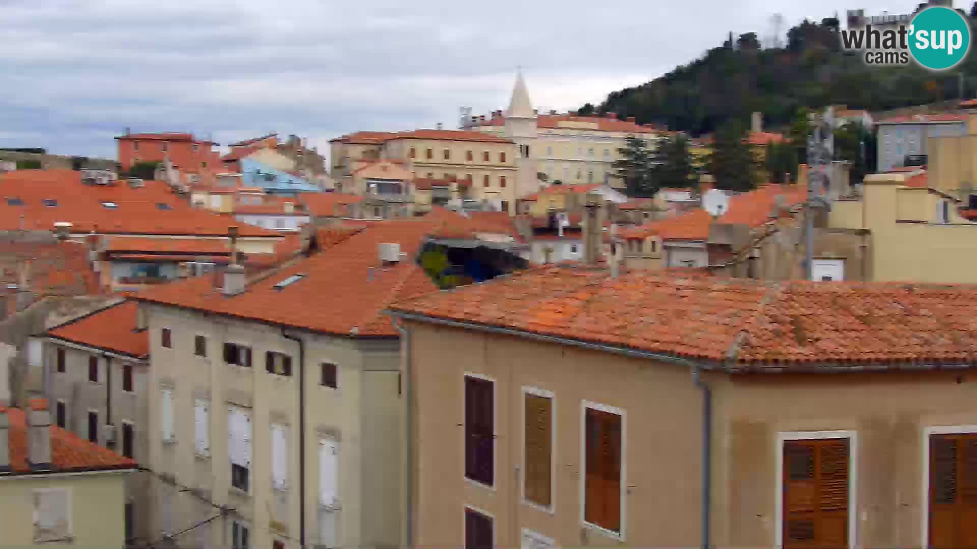 ﻿Pirano Webcam | Lungomare di Pirano | Hotel Piran