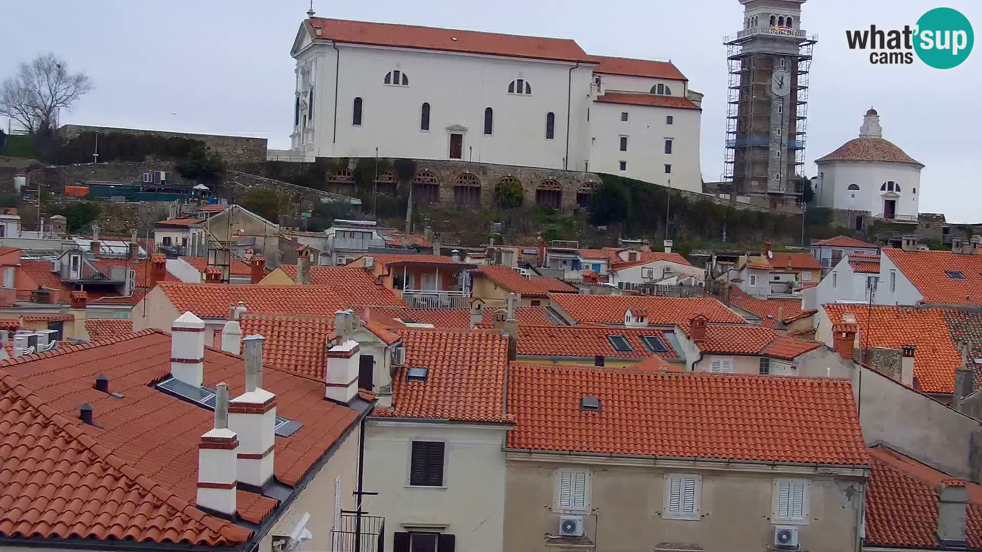 PIRAN Punta webcam | Seaside Promenade | Hotel Piran