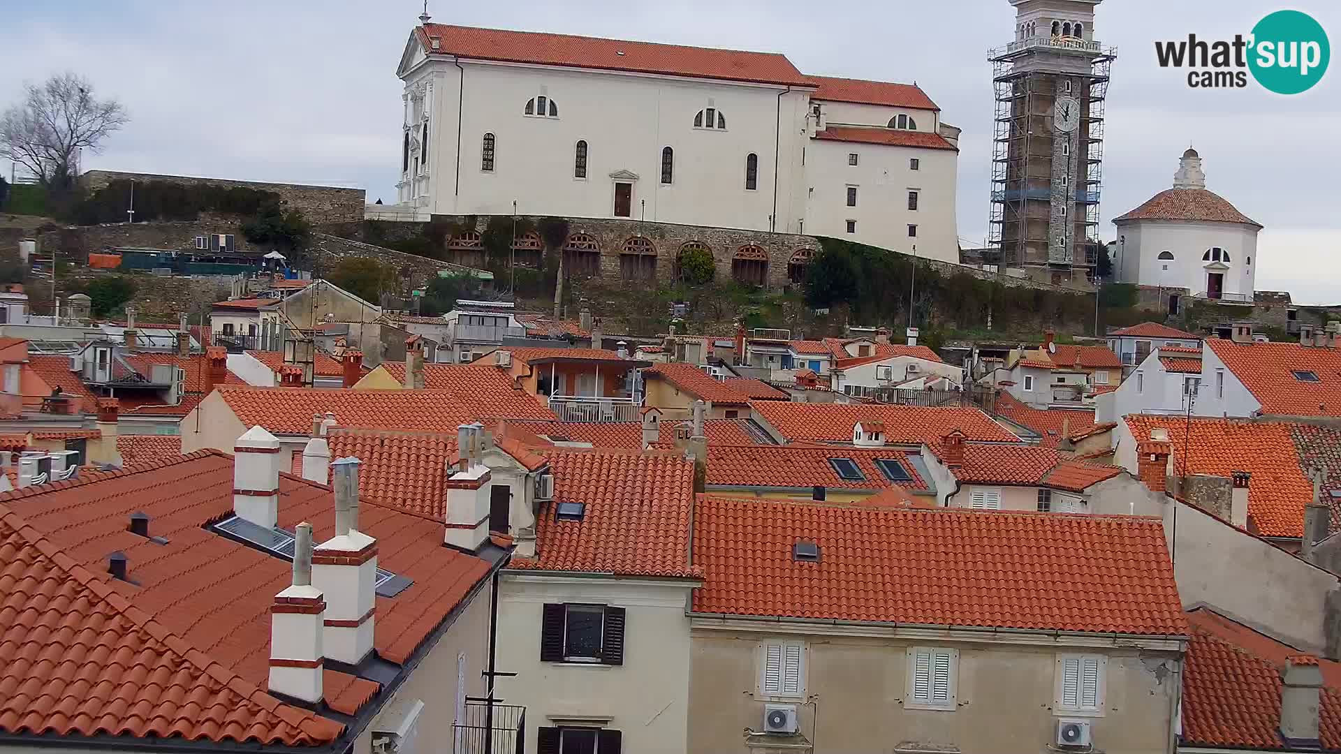 PIRAN Punta webcam | Seaside Promenade | Hotel Piran