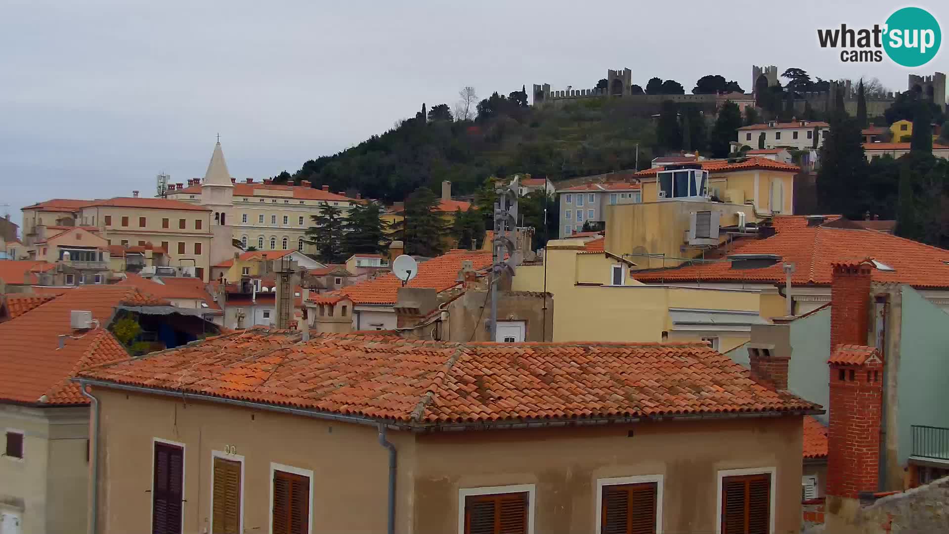 PIRAN Punta webcam | Seaside Promenade | Hotel Piran