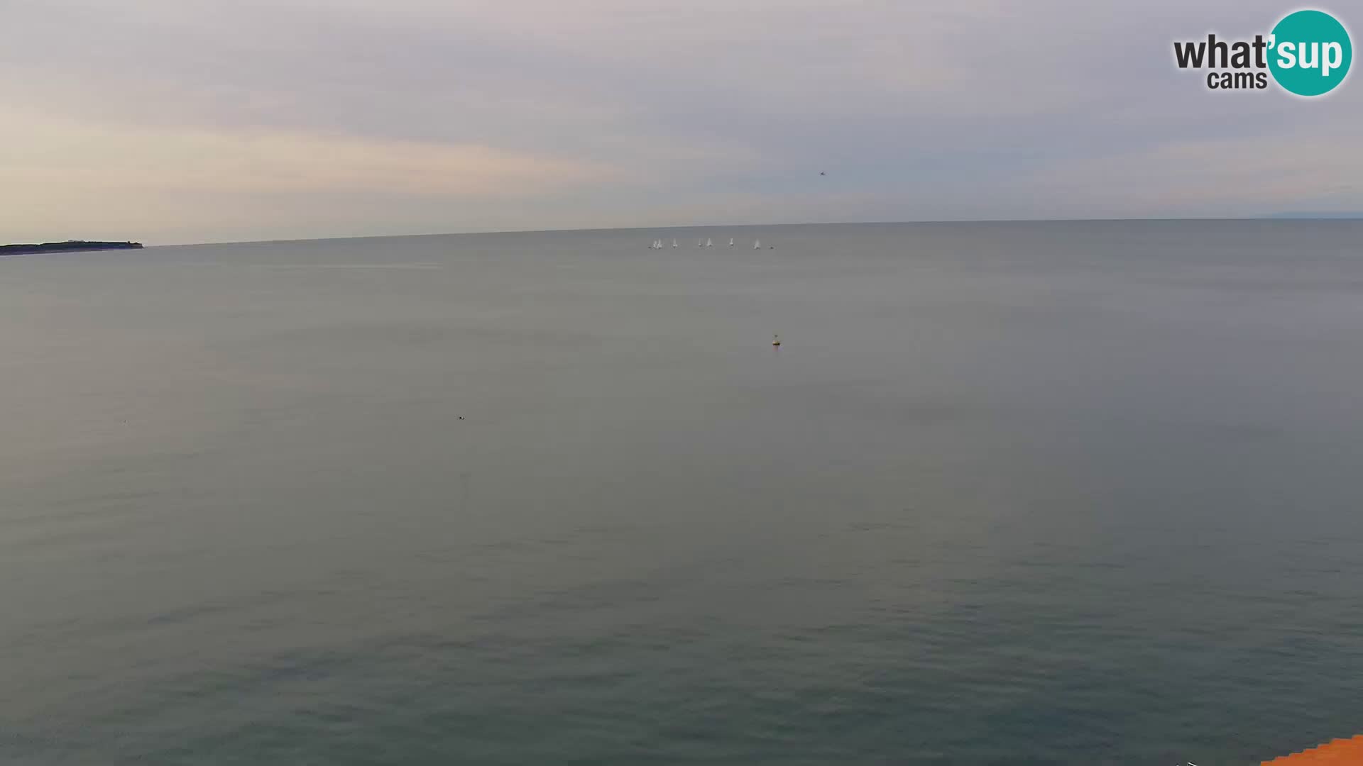 PIRAN Webcam | Strandpromenade Punta | Hotel Piran