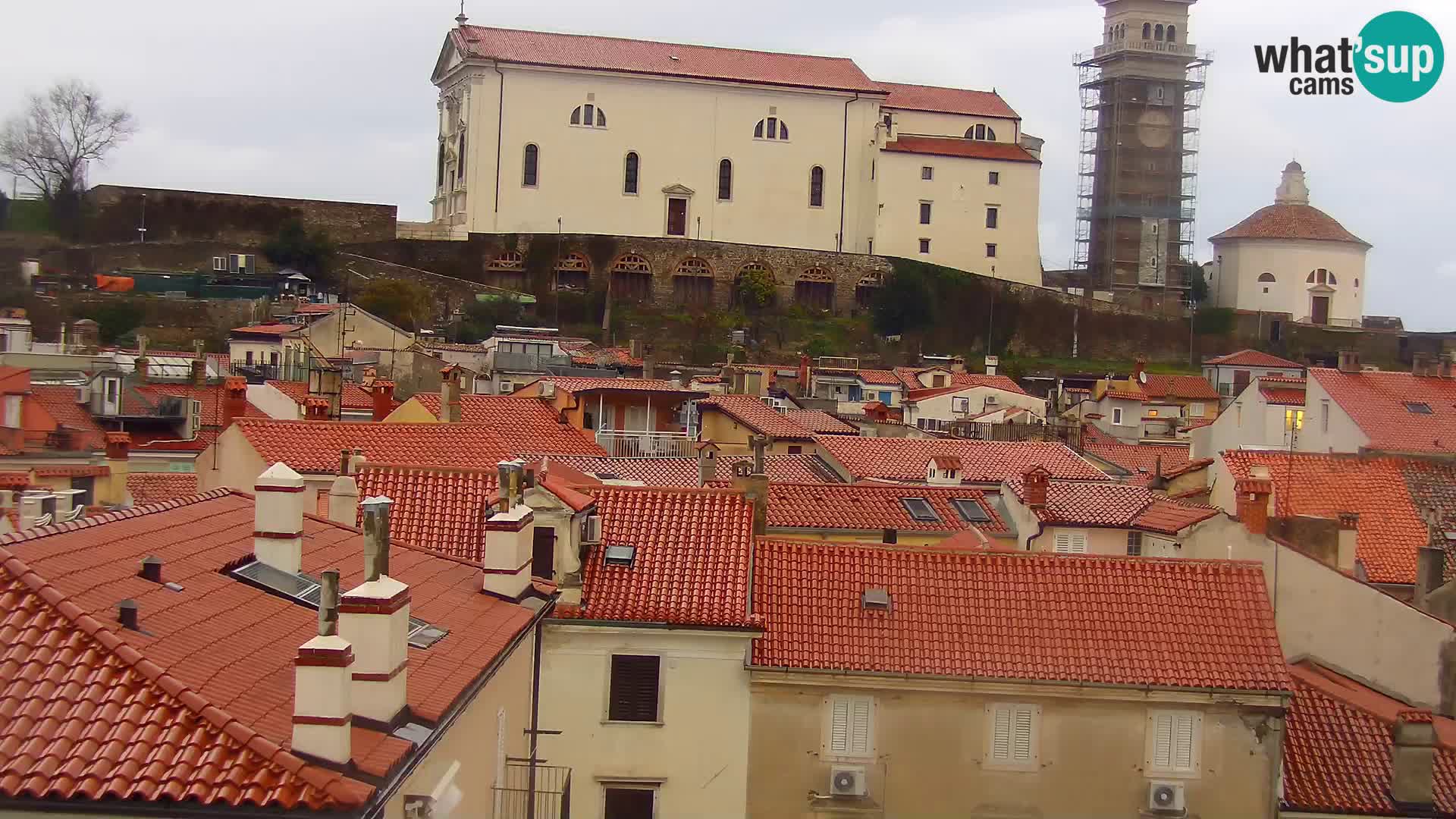 PIRAN Punta webcam | Seaside Promenade | Hotel Piran