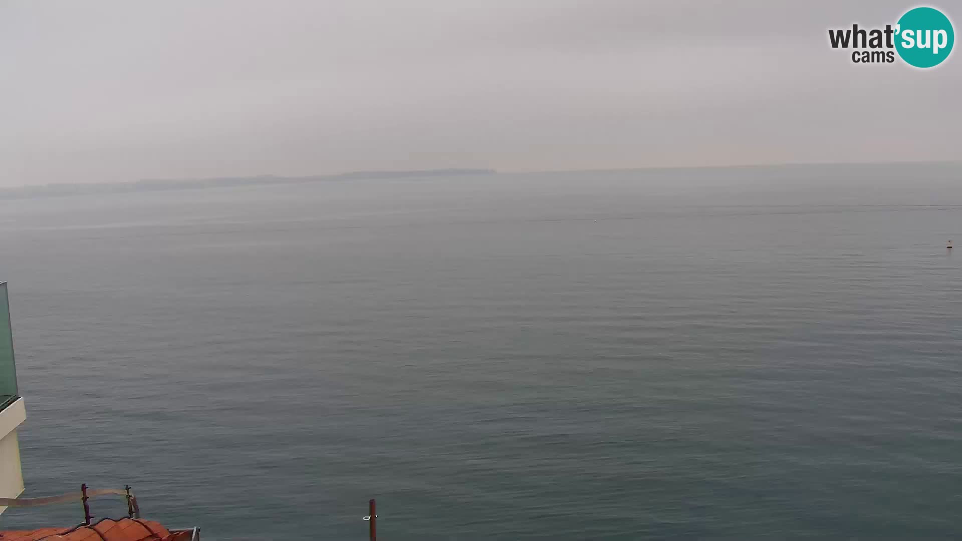 ﻿Pirano Webcam | Lungomare di Pirano | Hotel Piran