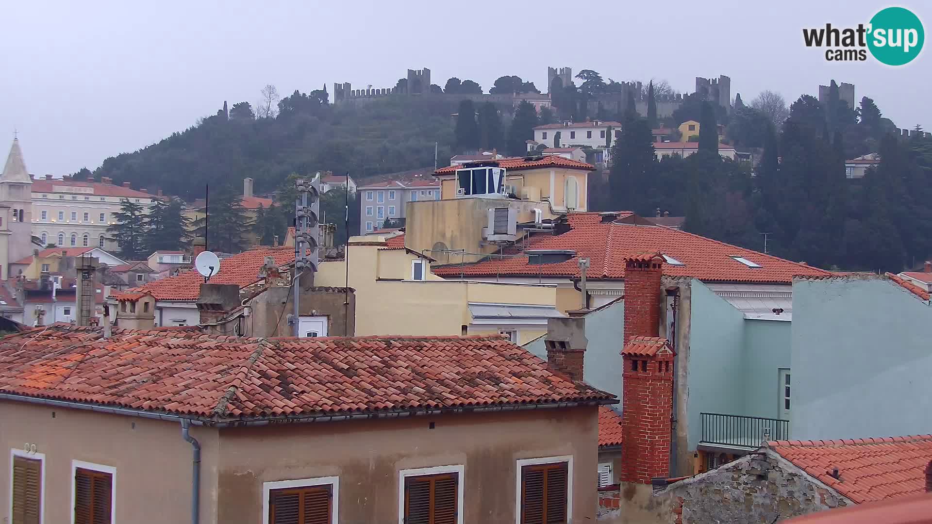 PIRAN Punta webcam | Seaside Promenade | Hotel Piran