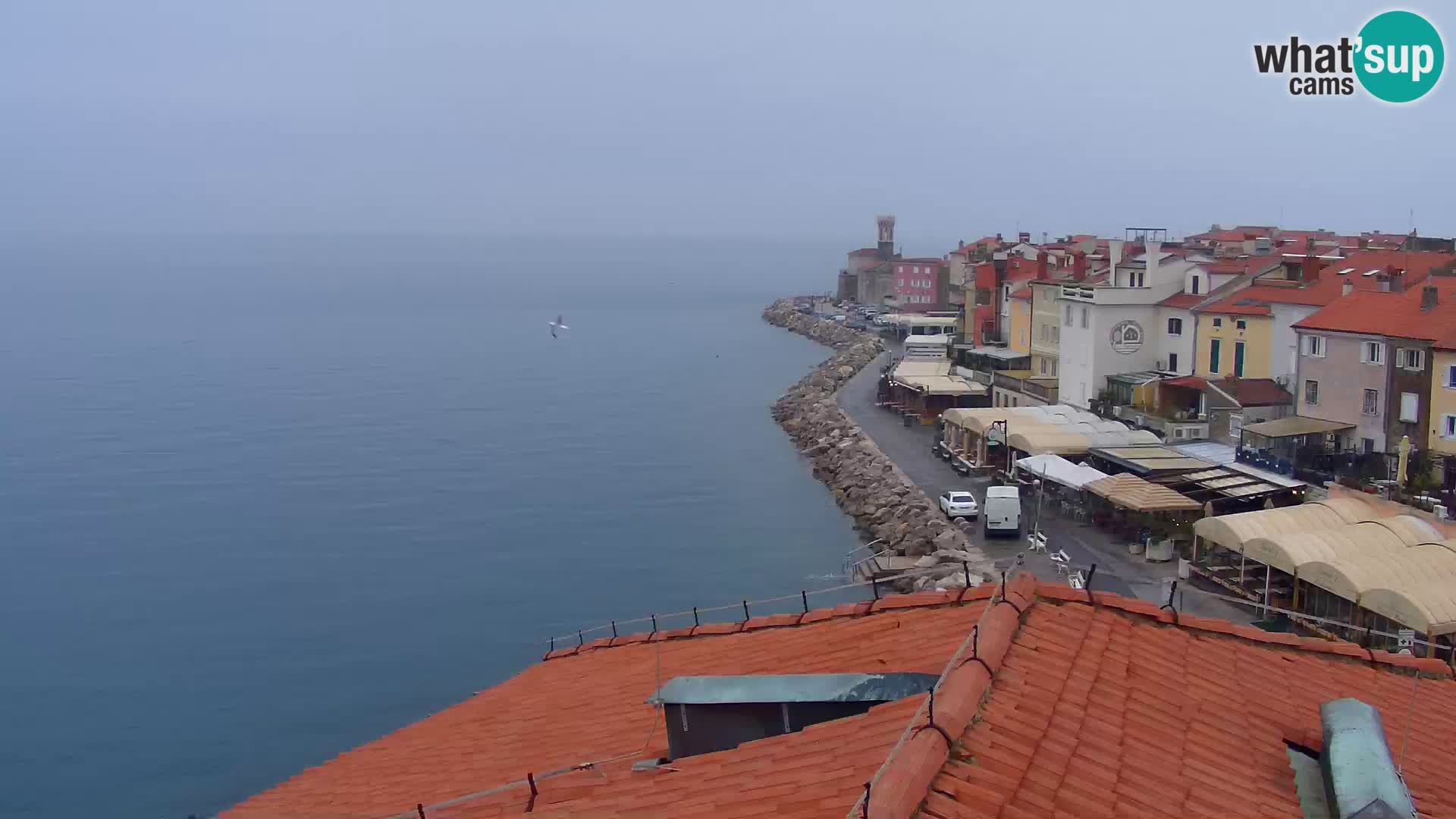 PIRAN Webcam | Strandpromenade Punta | Hotel Piran