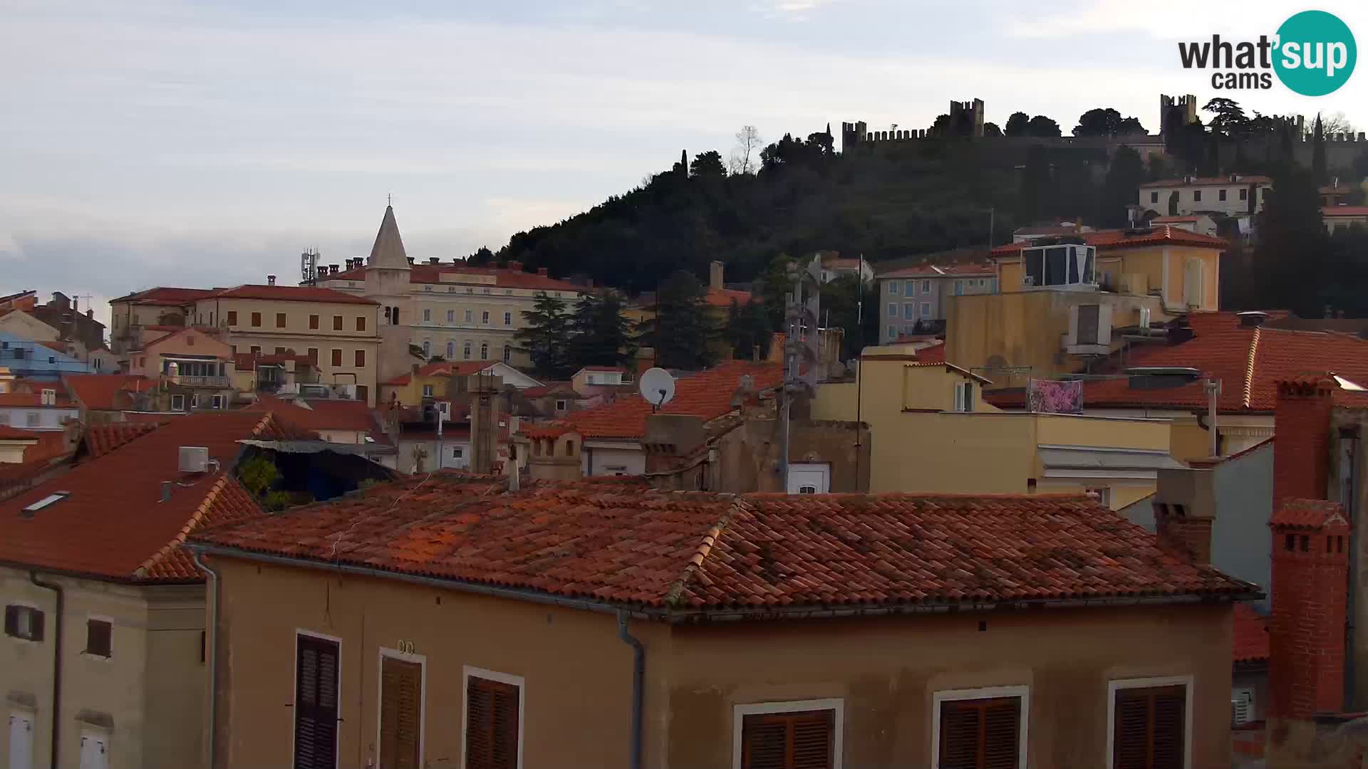 PIRAN Punta webcam | Seaside Promenade | Hotel Piran