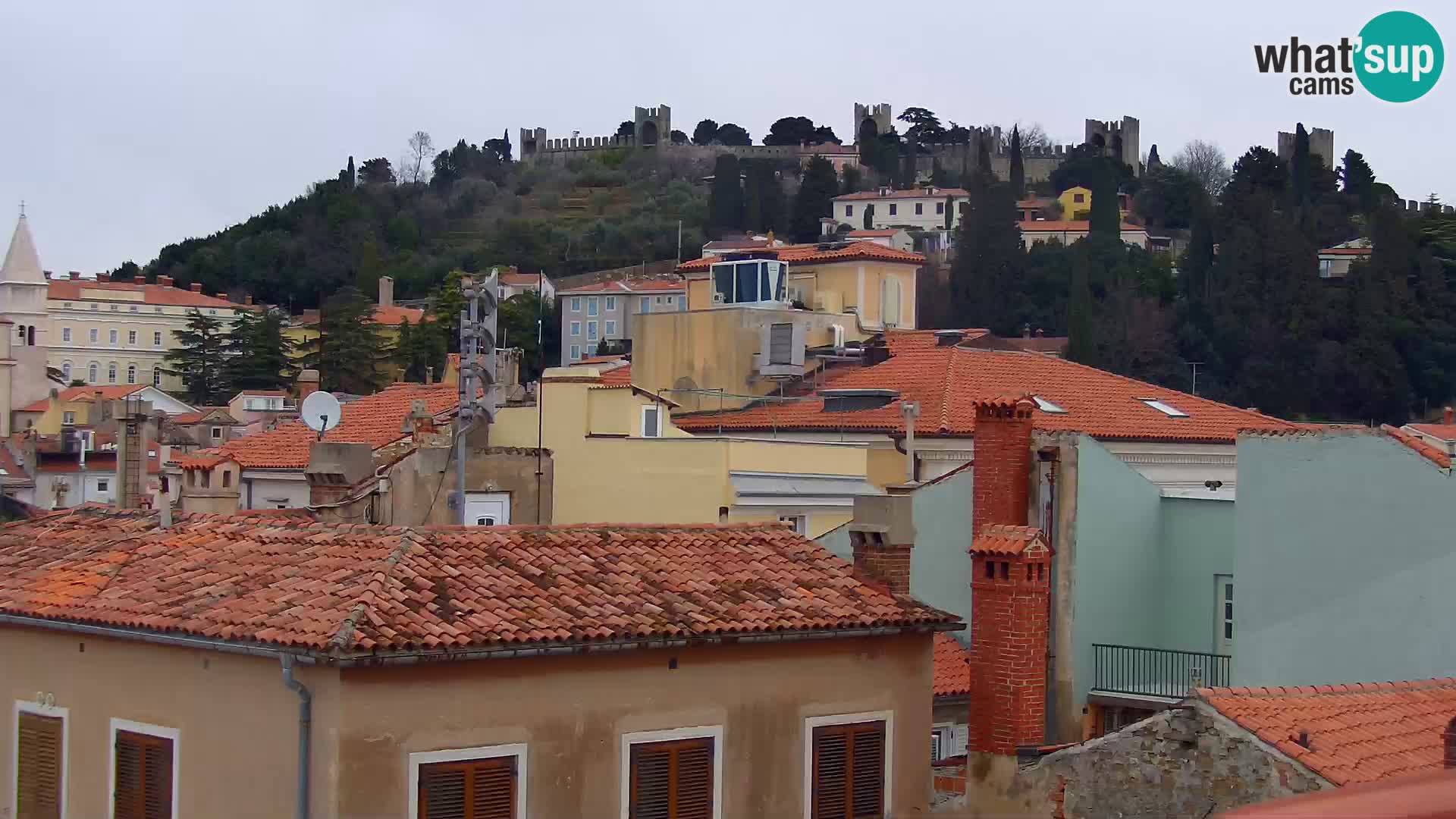 ﻿Pirano Webcam | Lungomare di Pirano | Hotel Piran