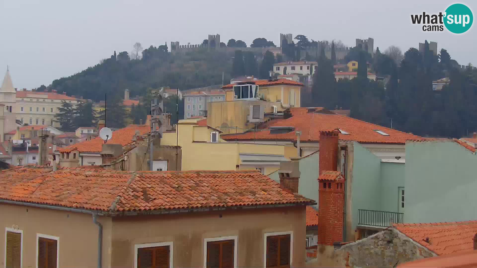 Piran Punta – Seaside Promenade