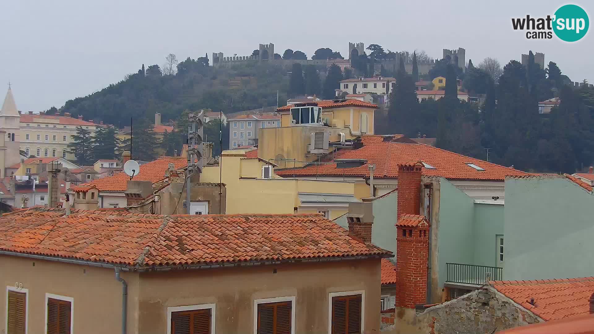 ﻿Pirano Webcam | Lungomare di Pirano | Hotel Piran