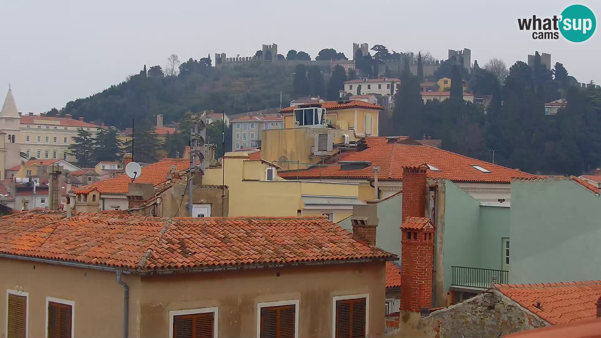 ﻿Pirano Webcam | Lungomare di Pirano | Hotel Piran