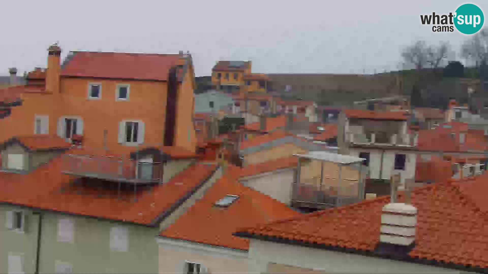 ﻿Pirano Webcam | Lungomare di Pirano | Hotel Piran