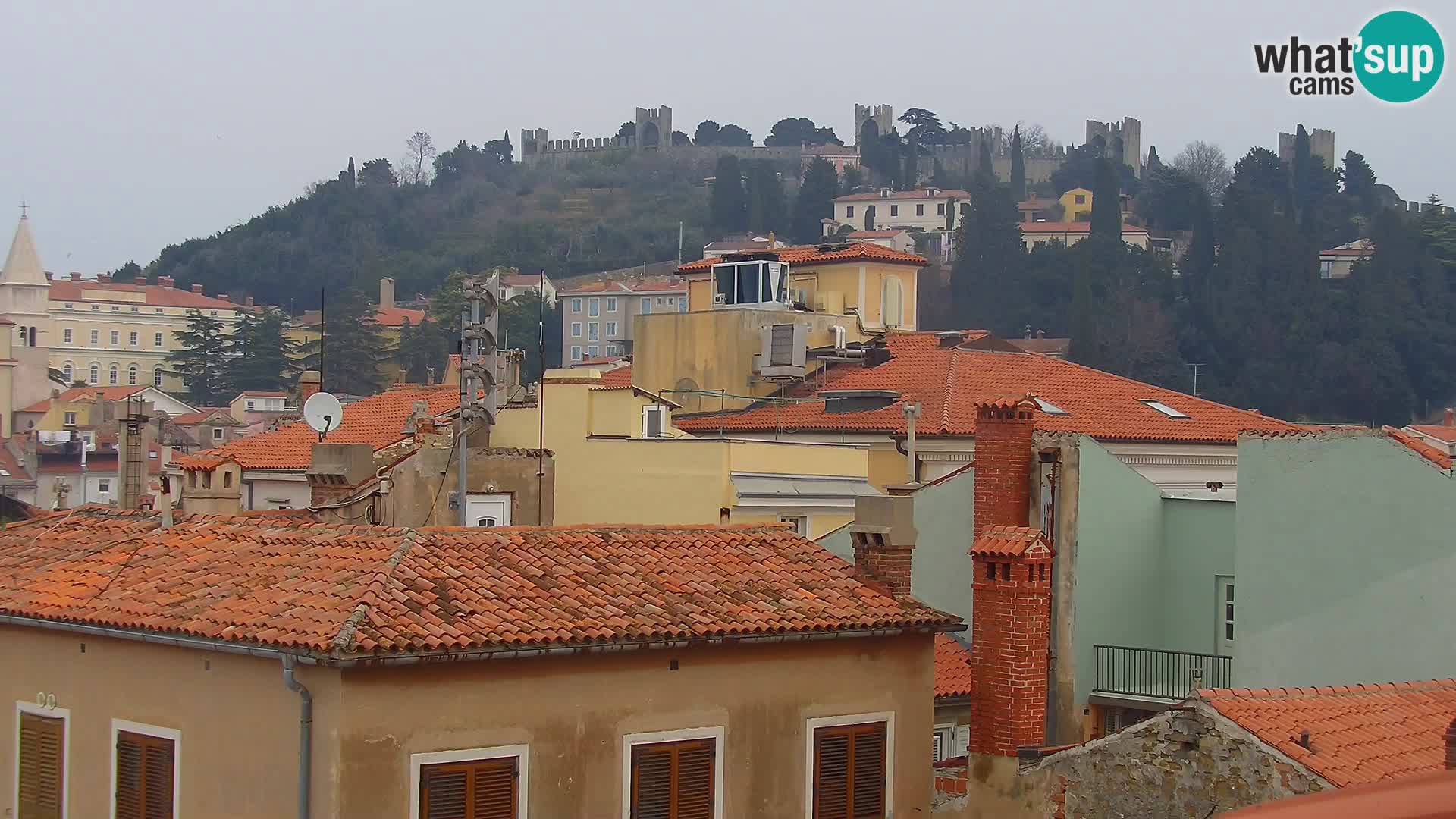 PIRAN Punta webcam | Seaside Promenade | Hotel Piran