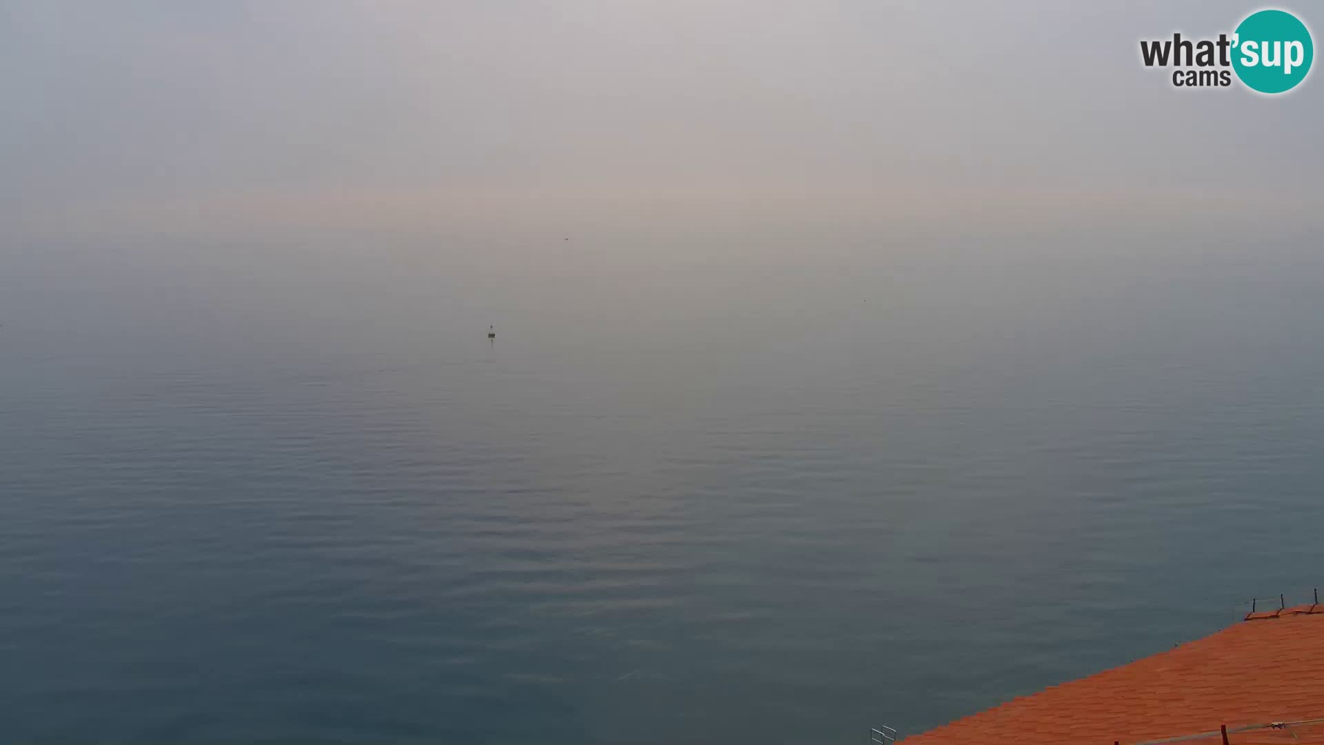 ﻿Pirano Webcam | Lungomare di Pirano | Hotel Piran