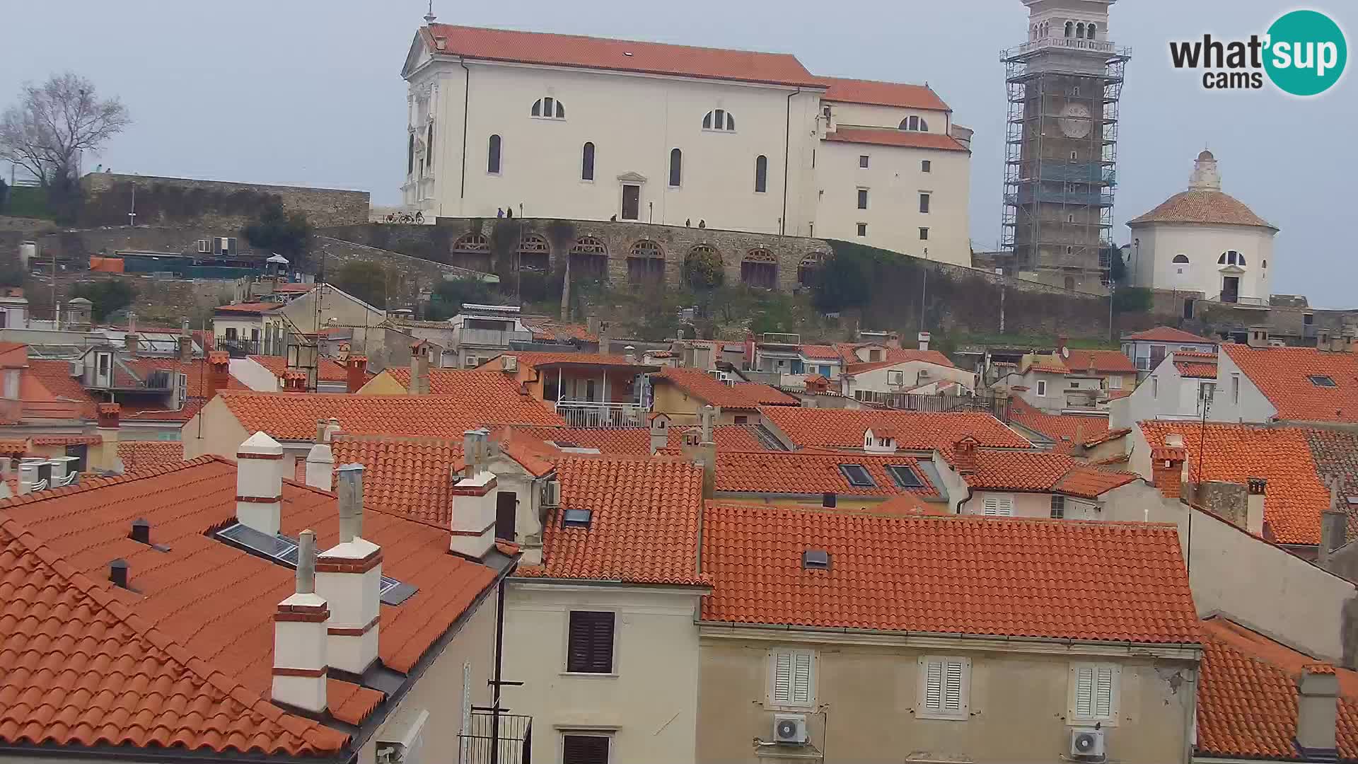 PIRAN Punta webcam | Seaside Promenade | Hotel Piran