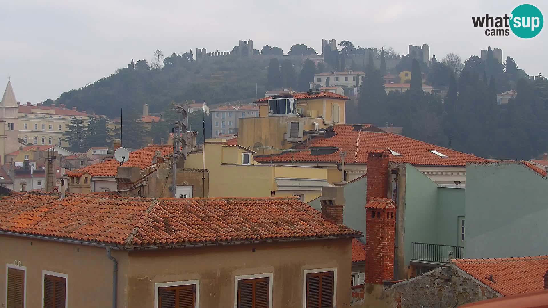 PIRAN Punta webcam | Seaside Promenade | Hotel Piran