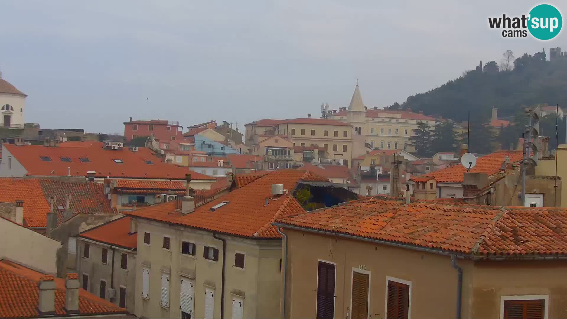 Piran Punta – Seaside Promenade