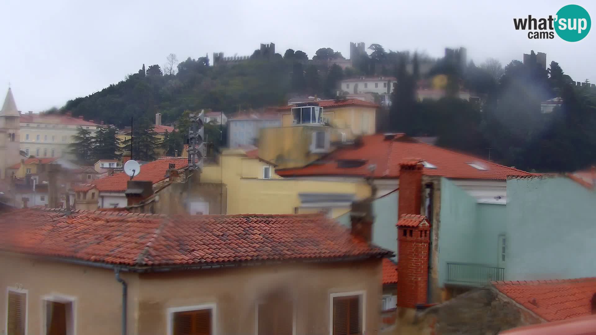 PIRAN Punta webcam | Seaside Promenade | Hotel Piran