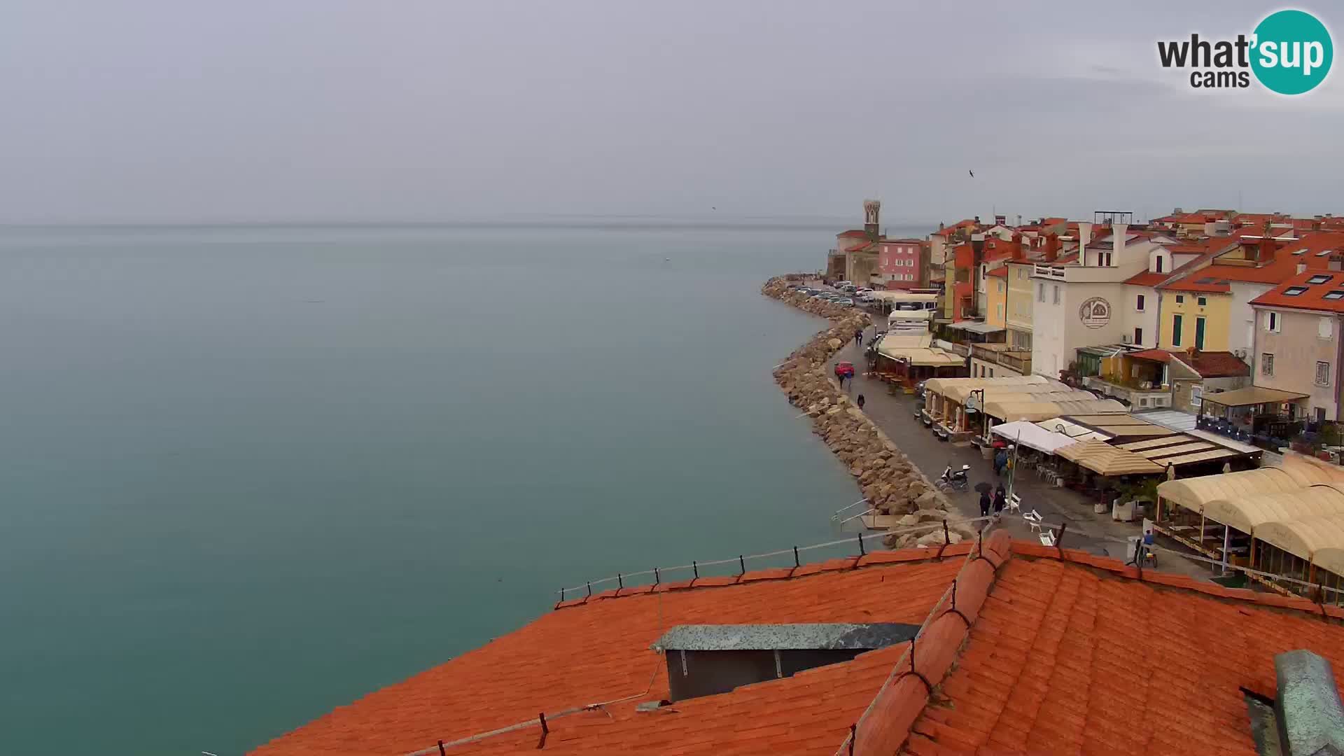 PIRAN Punta webcam | Seaside Promenade | Hotel Piran