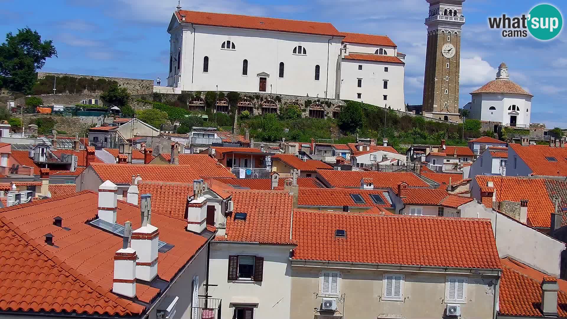 ﻿Pirano Webcam | Lungomare di Pirano | Hotel Piran