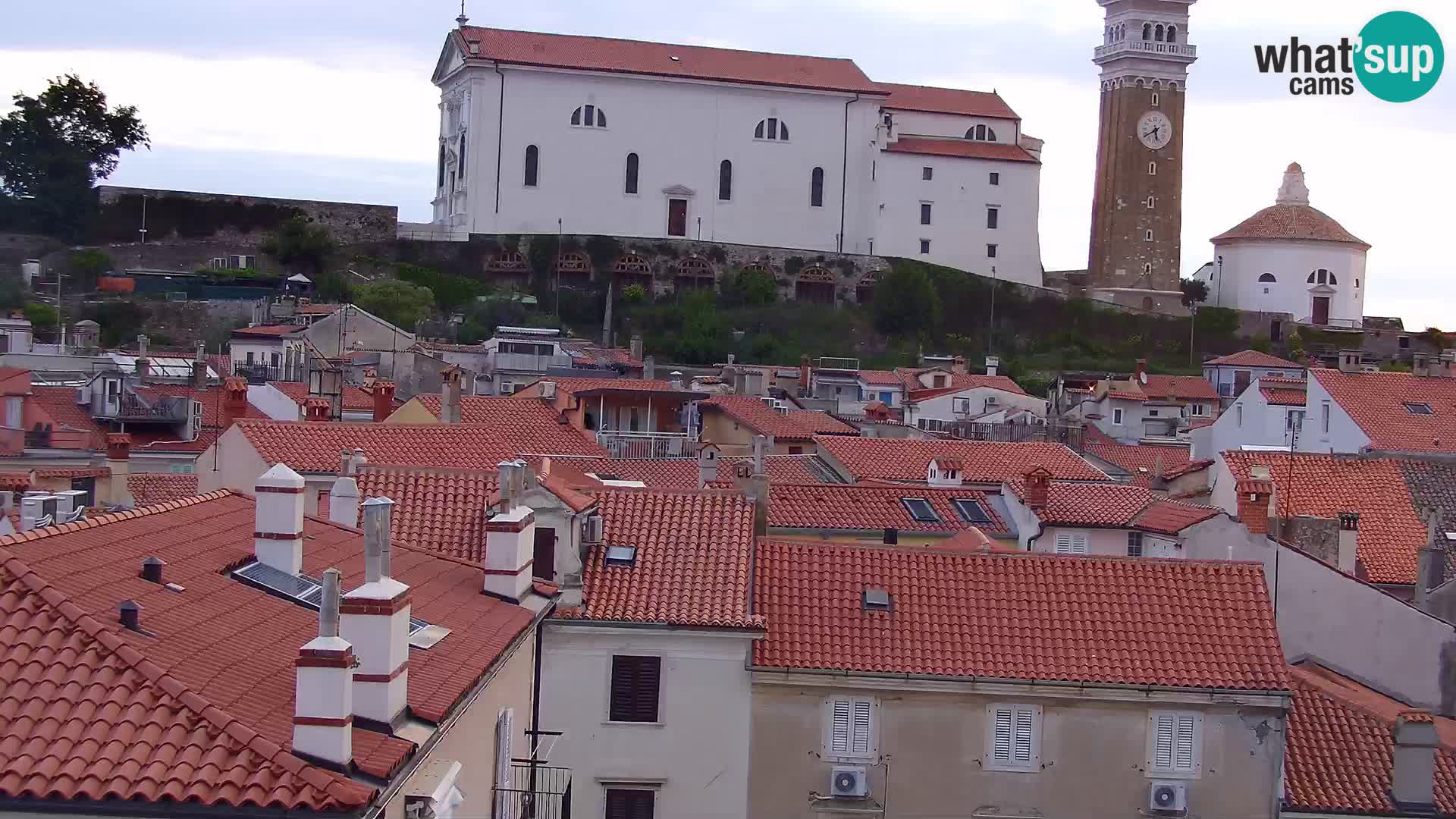 PIRAN Punta webcam | Seaside Promenade | Hotel Piran